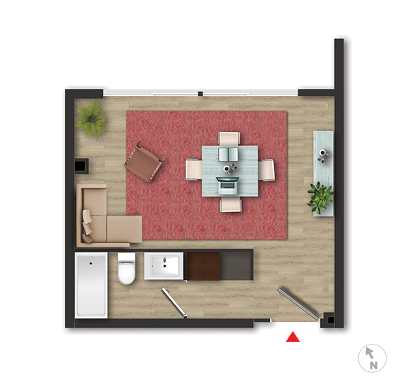 Estudio 7